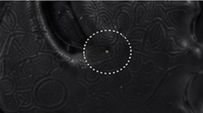 Surface variation example: panel texture